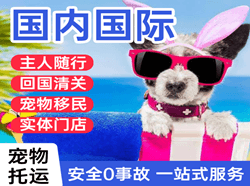 伊尔施空运国际宠物托运 【国
